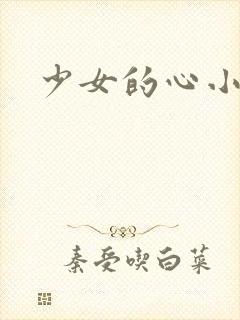 少女的心小说