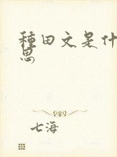 种田文是什么意思