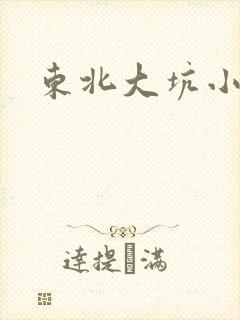 东北大坑小说