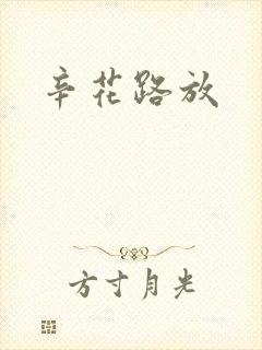 辛花路放