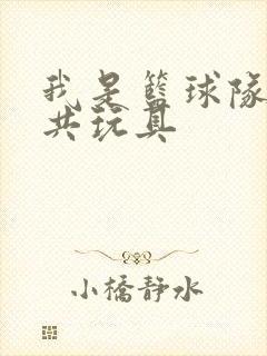 我是篮球队的公共玩具