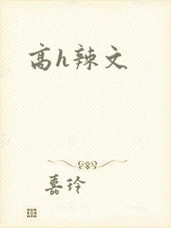 高h辣文