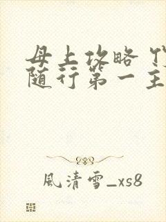 母上攻略 竹影随行第一主板