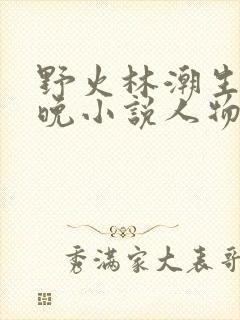 野火林潮生林晚晚小说人物野火