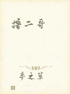 撸二哥