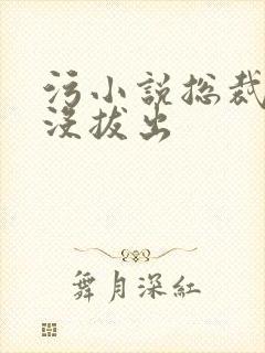 污小说总裁整夜没拔出