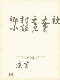 乡村之大被同眠小说免费