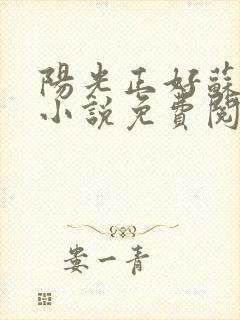 阳光正好苏玥玥小说免费阅读无弹窗封面