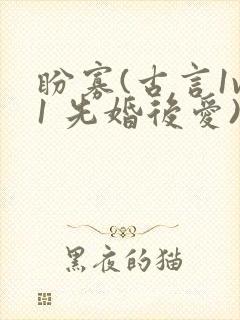 盼寡(古言1v1 先婚后爱)荔枝好多