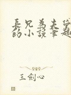 长兄为夫黛珂妃的小说笔趣阁全文