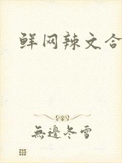 鲜网辣文合集