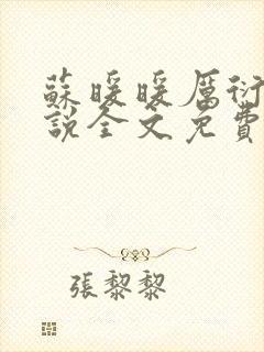 苏暖暖厉衍琛小说全文免费阅读