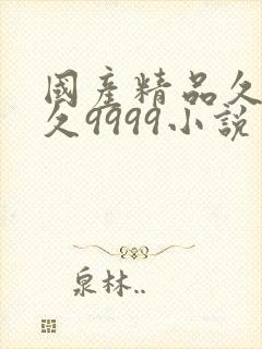 国产精品久久久久9999小说