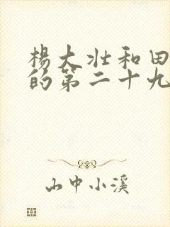 杨大壮和田桂花的第二十九