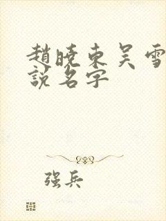 赵晓东吴雪晴小说名字