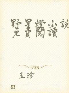 野星灯小说全文免费阅读