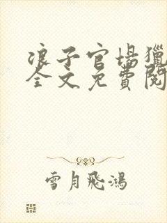 浪子官场猎艳记全文免费阅读