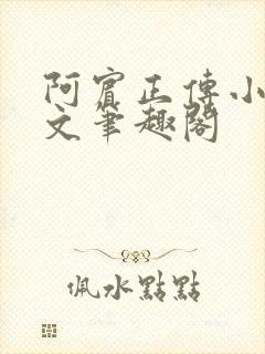 阿宾正传小说全文笔趣阁