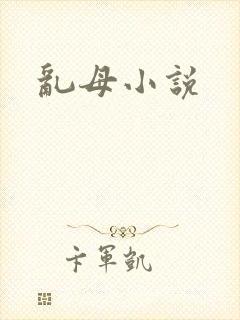 乱母小说