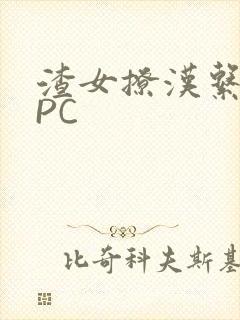 渣女撩汉系统NPC