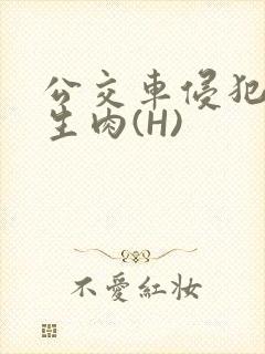 公交车侵犯小男生肉(H)