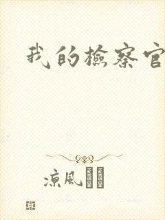 我的检察官先生