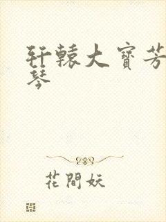 轩辕大宝芳菲雅琴