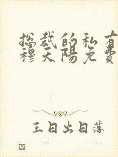 总裁的私有宝贝穆天阳免费