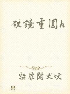 破镜重圆h