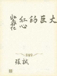 紫红的巨大顶开花心