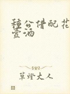 种公借配花间一壶酒