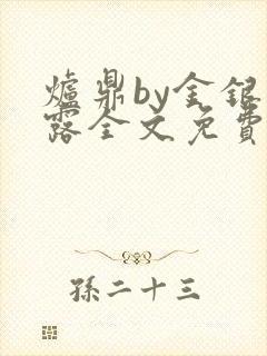 炉鼎by金银花露全文免费阅读笔趣阁