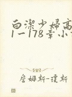 白洁少妇高义第1一178章小说