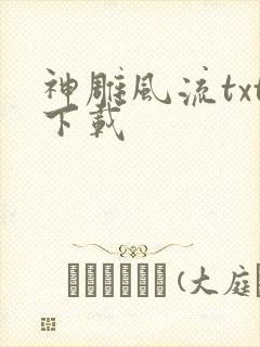 神雕风流txt下载