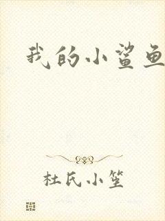 我的小鲨鱼