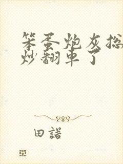 笨蛋炮灰总被爆炒翻车了