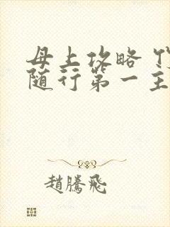 母上攻略 竹影随行第一主板