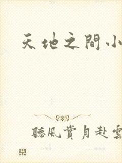 天地之间小说