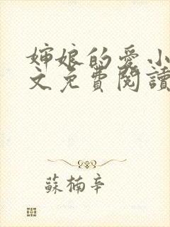 婶娘的爱小说全文免费阅读