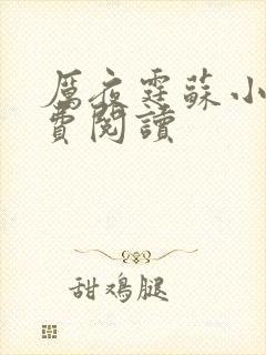 厉夜霆苏小汐免费阅读