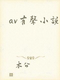 av有声小说