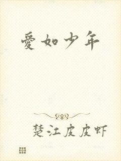 爱如少年