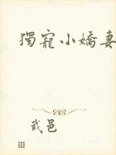独宠小娇妻