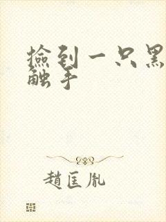 捡到一只黑心小触手