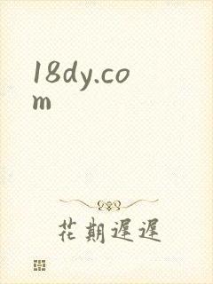 18dy.com