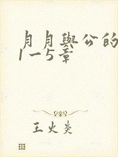 月月与公的激情1一5章