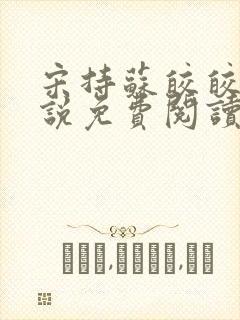 宋持苏皎皎的小说免费阅读