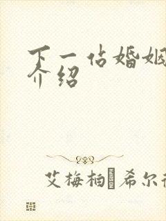 下一站婚姻剧情介绍