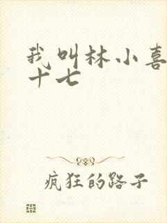 我叫林小喜今年十七