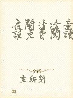 夜阑清冷意欢小说免费阅读